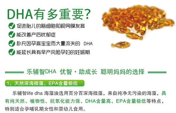樂輔智DHA藻油軟膠囊產(chǎn)品介紹.jpg
