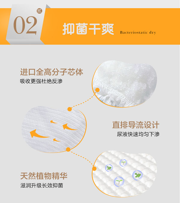 懶波熊紙尿褲-抑菌干爽.jpg