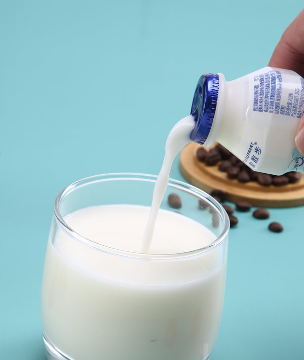 小象散步乳酸菌飲料2.jpg