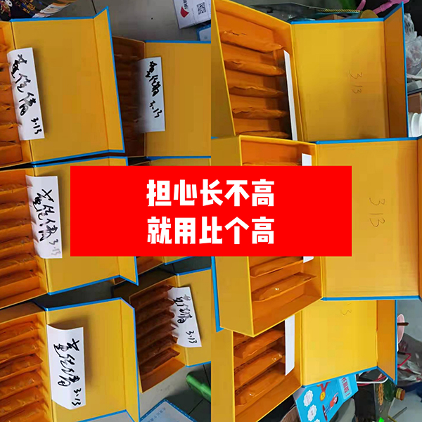 比個高天天長4.jpg