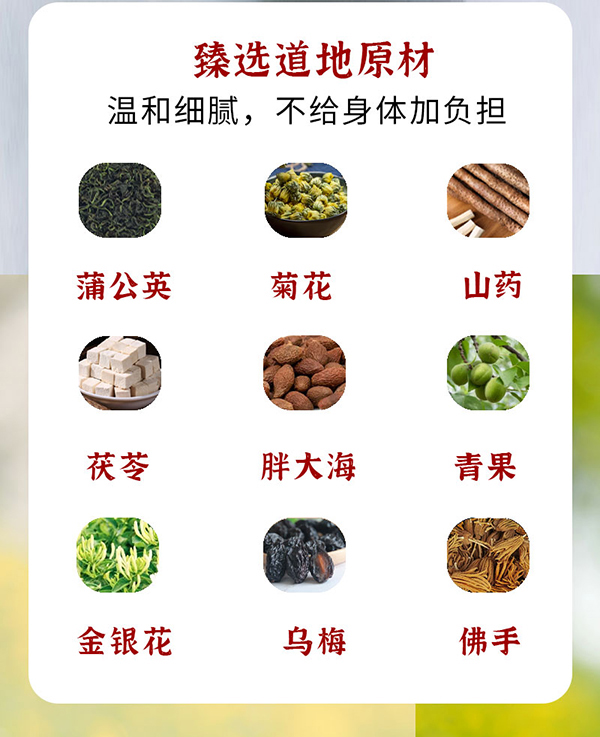 成長123-29味蒲公英菊花詳情圖_04.jpg