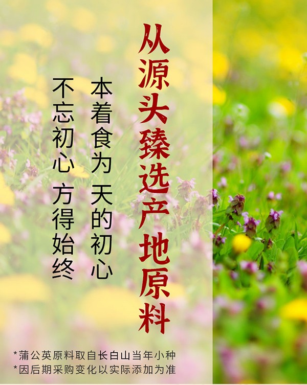 成長123-29味蒲公英菊花詳情圖_05.jpg