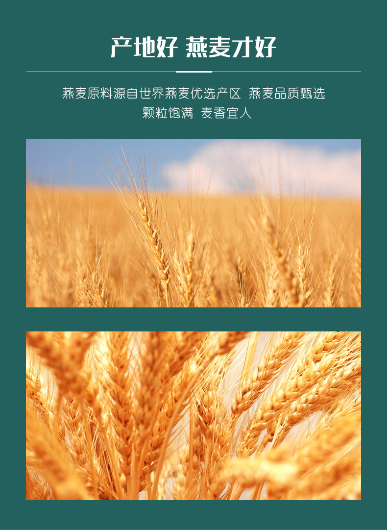 亨盛維嘉五谷代餐米稀即食熟米片人參米稀猴菇營(yíng)養(yǎng)米稀麥香米稀4.jpg