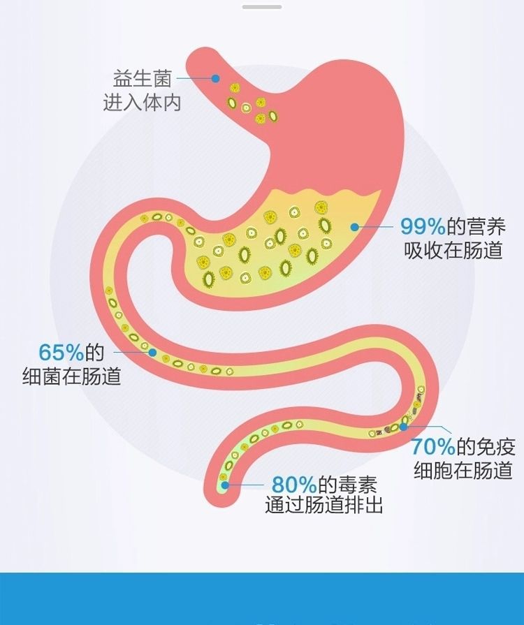 益生菌 (15).jpg