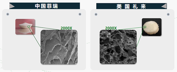 菲瑞生物凍干閃釋片9.png 菲瑞生物凍干閃釋片9.png