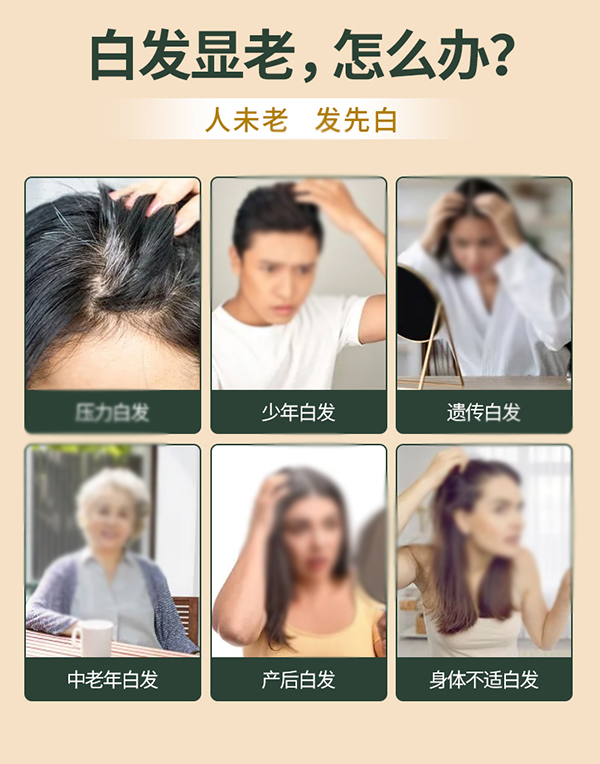 黃金搭檔黑芝麻核桃營養(yǎng)粉詳情圖_02.jpg