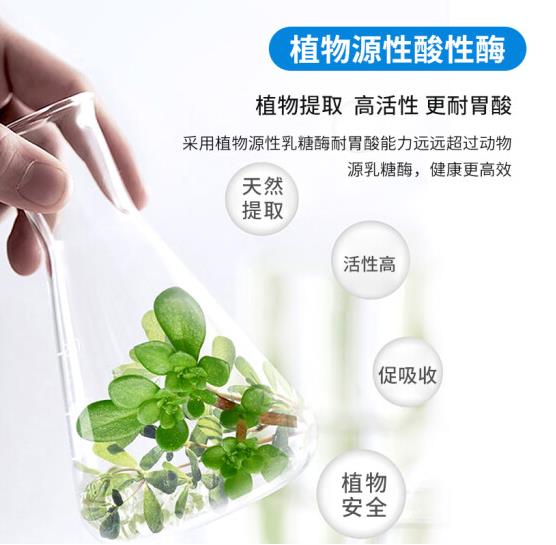 樂(lè)迪士酸性乳糖酶 (2).jpg