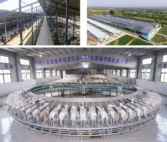 圖片6.jpg 圖片6.jpg