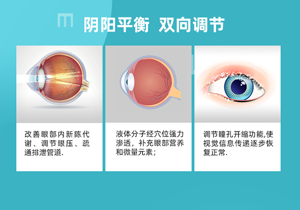漢術(shù)經(jīng)方眼睛康套裝-詳情頁(yè)_08.jpg