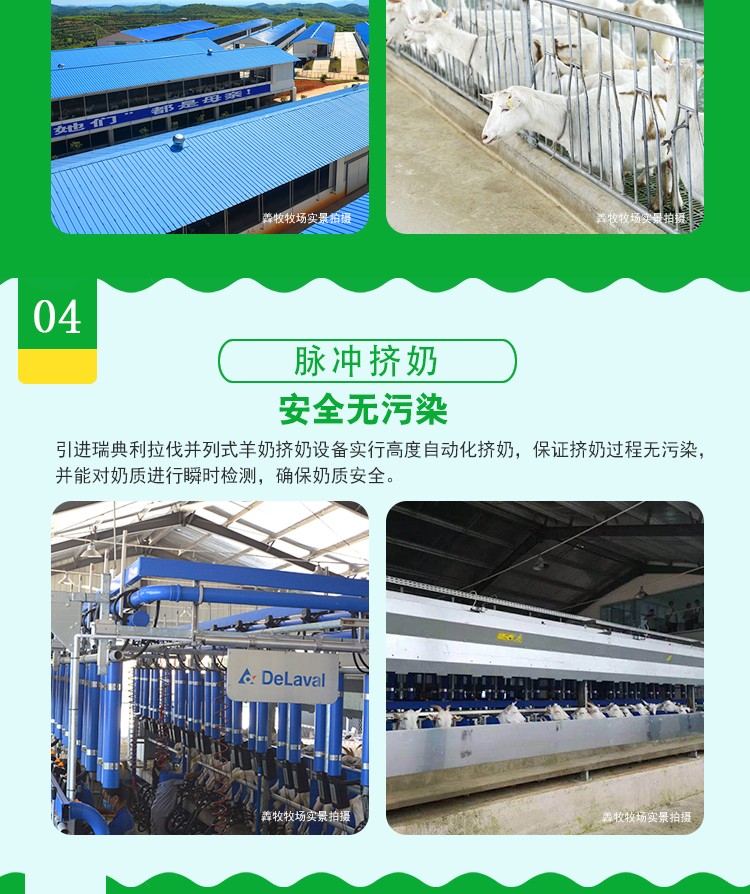 羴羊羊植物甾醇中老年配方羊奶粉400g詳情介紹 (5).jpg