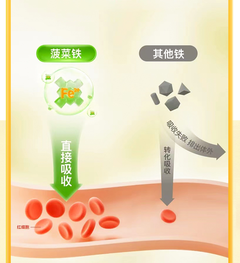 果蔬鐵詳情_06.jpg