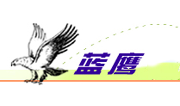 藍(lán)鷹玩具有限公司