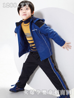 Ziwaa{(ln)ɫ\(yn)(dng)